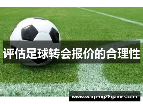 评估足球转会报价的合理性 评估足球转会报价的合理性