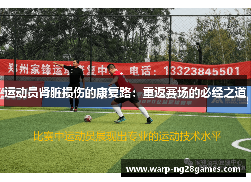 运动员肾脏损伤的康复路:重返赛场的必经之道 运动员肾脏损伤的康复路:重返赛场的必经之道