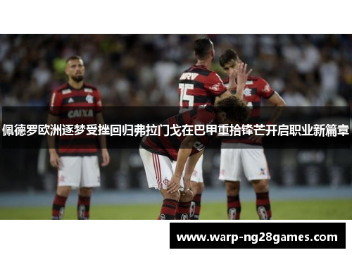 佩德罗欧洲逐梦受挫回归弗拉门戈在巴甲重拾锋芒开启职业新篇章
