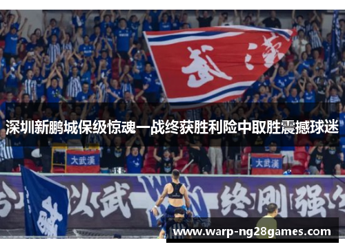 深圳新鹏城保级惊魂一战终获胜利险中取胜震撼球迷 深圳新鹏城保级惊魂一战终获胜利险中取胜震撼球迷